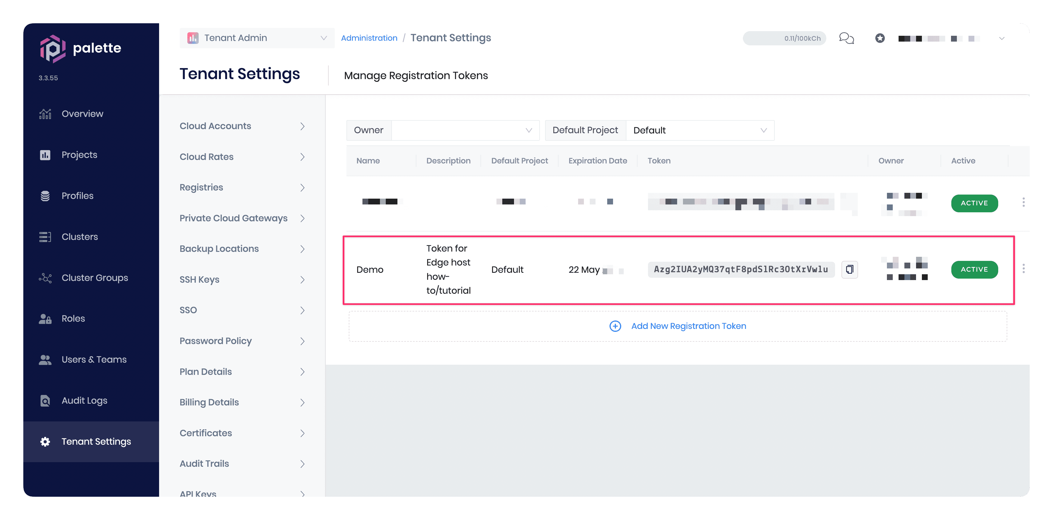 A screenshot of a registration token in Palette