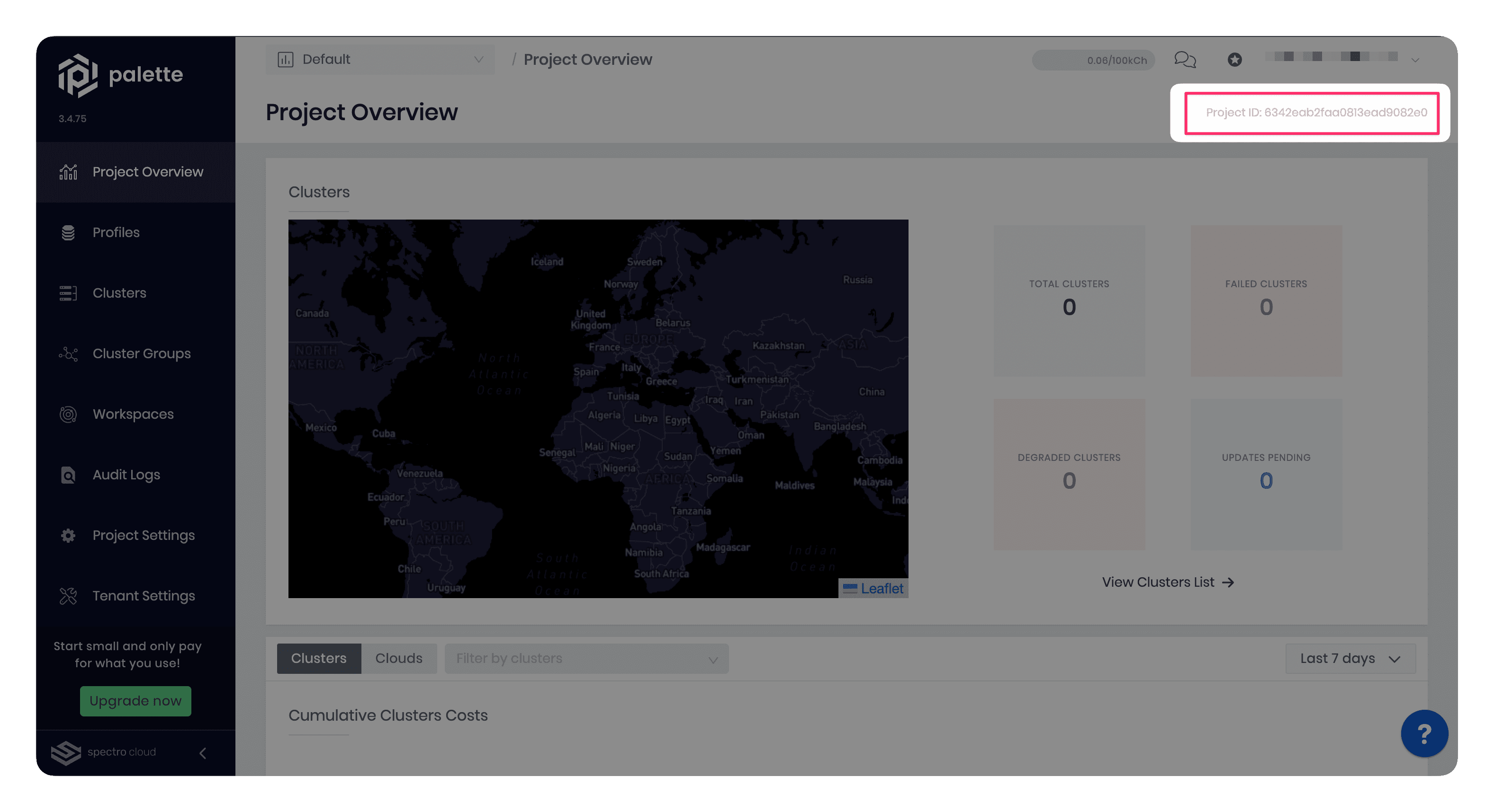 A screenshot highlighting the project ID in Palette project overview page