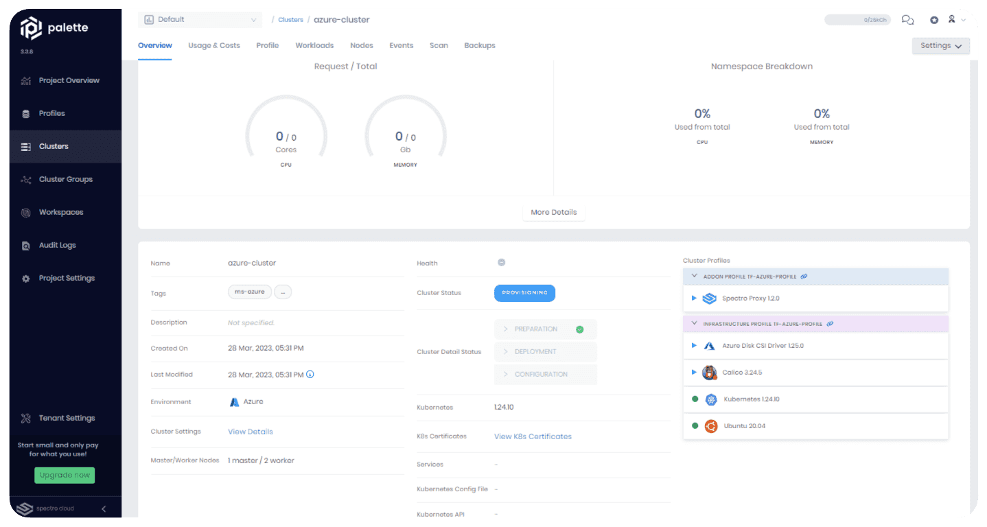 View of the cluster details page