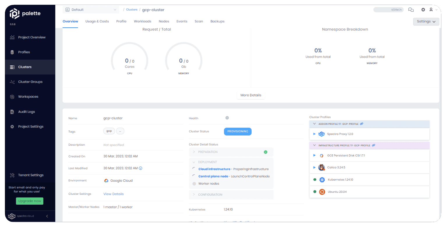 View of the cluster details page