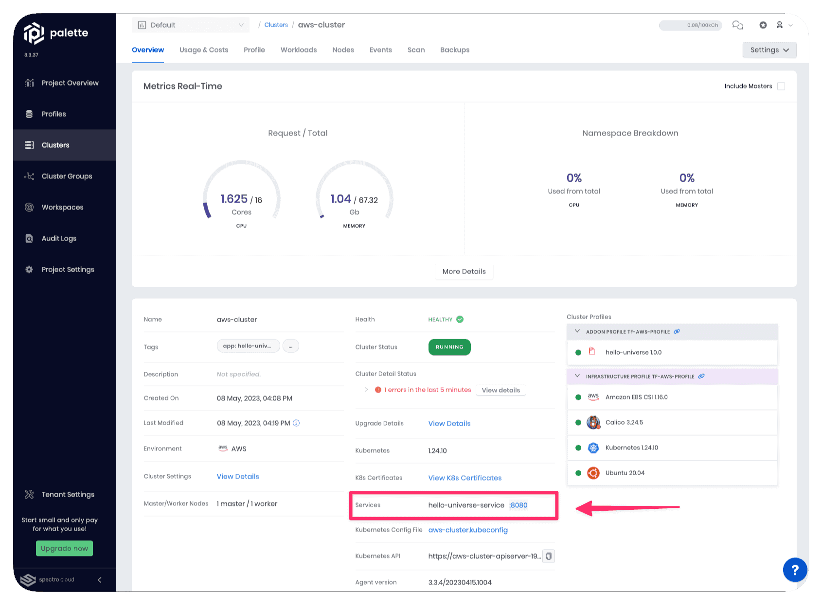 Cluster details page with service URL highlighted